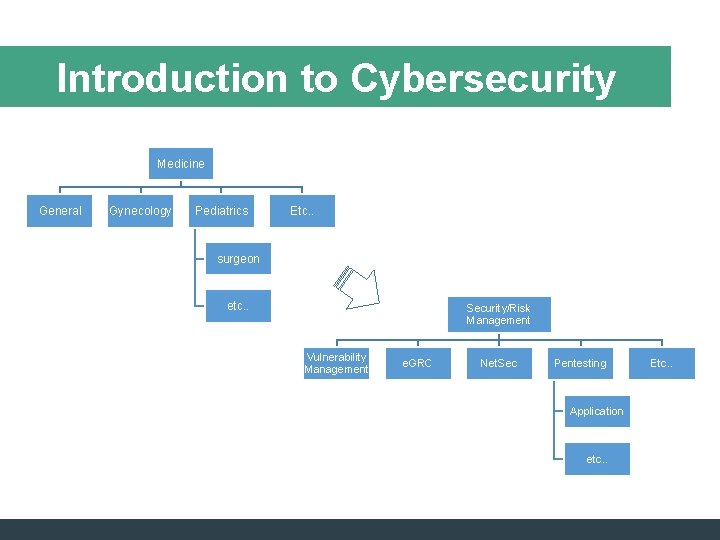 Introduction to Cybersecurity Medicine General Gynecology Pediatrics Etc. . surgeon etc. . Security/Risk Management Introduction to Cybersecurity Medicine General Gynecology Pediatrics Etc. . surgeon etc. . Security/Risk Management