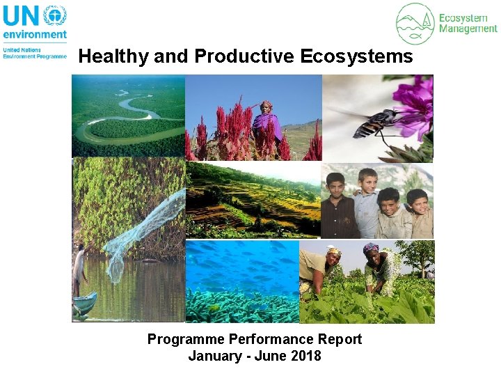 Programme Ecosystem Healthy and Productive Ecosystems Programme Performance Report January