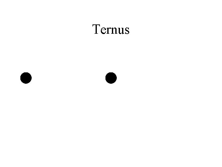 Ternus 