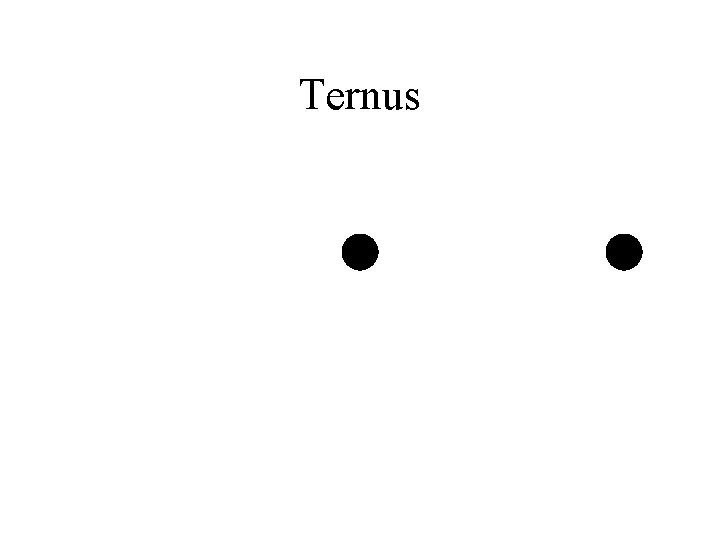 Ternus 