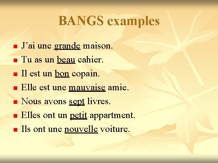 BANGS examples n n n n J’ai une grande maison. Tu as un beau