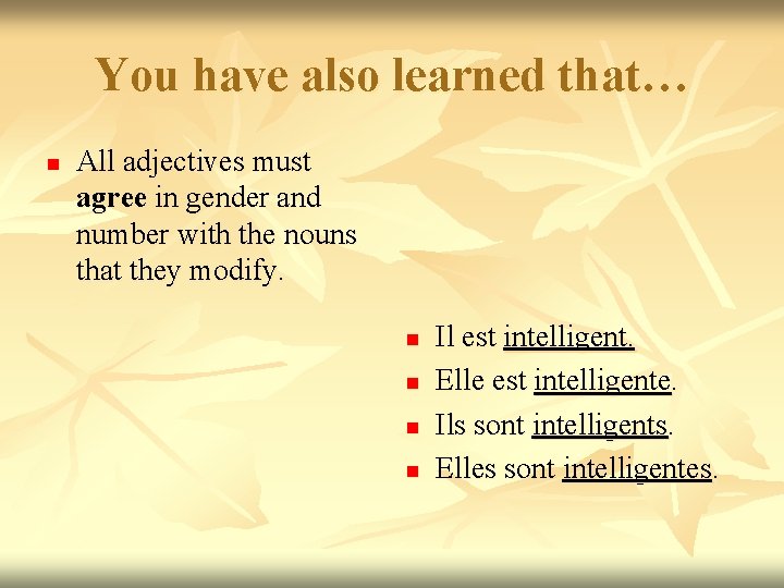 You have also learned that… n All adjectives must agree in gender and number