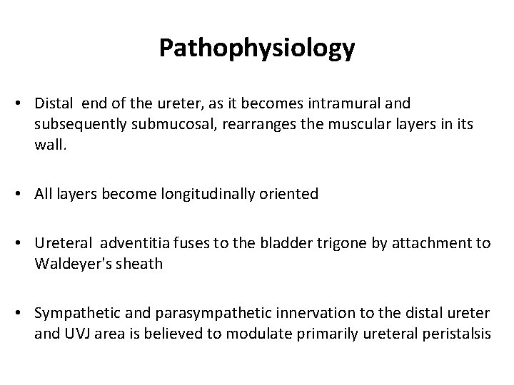 Pathophysiology • Distal end of the ureter, as it becomes intramural and subsequently submucosal, Pathophysiology • Distal end of the ureter, as it becomes intramural and subsequently submucosal,