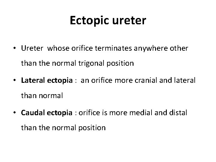 Ectopic ureter • Ureter whose orifice terminates anywhere other than the normal trigonal position Ectopic ureter • Ureter whose orifice terminates anywhere other than the normal trigonal position