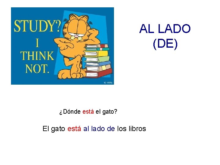 AL LADO (DE) ¿Dónde está el gato? El gato está al lado de los