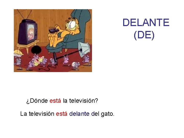 DELANTE (DE) ¿Dónde está la televisión? La televisión está delante del gato. 