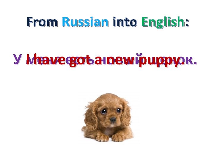 From Russian into English: У меня I haveесть got aновый new puppy щенок. .