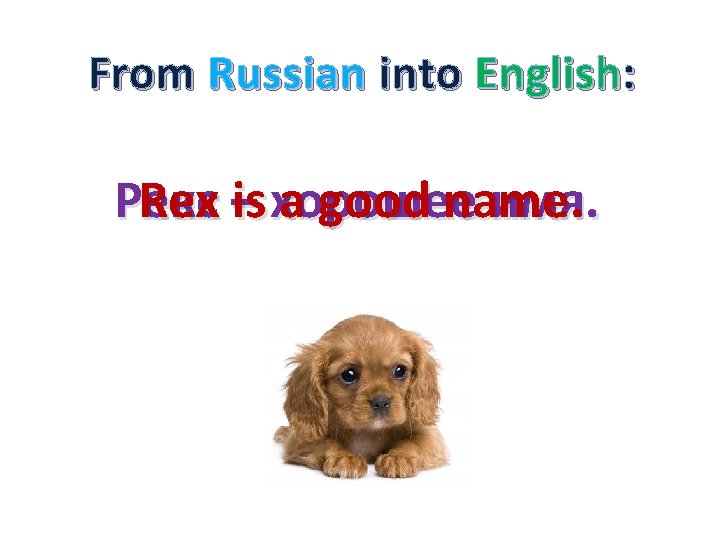 From Russian into English: Рекс Rex –is хорошее a good name имя. . 