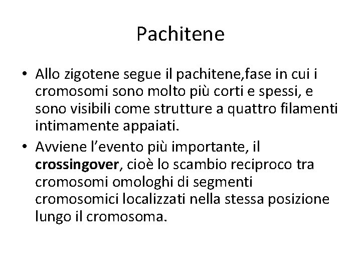 Pachitene • Allo zigotene segue il pachitene, fase in cui i cromosomi sono molto