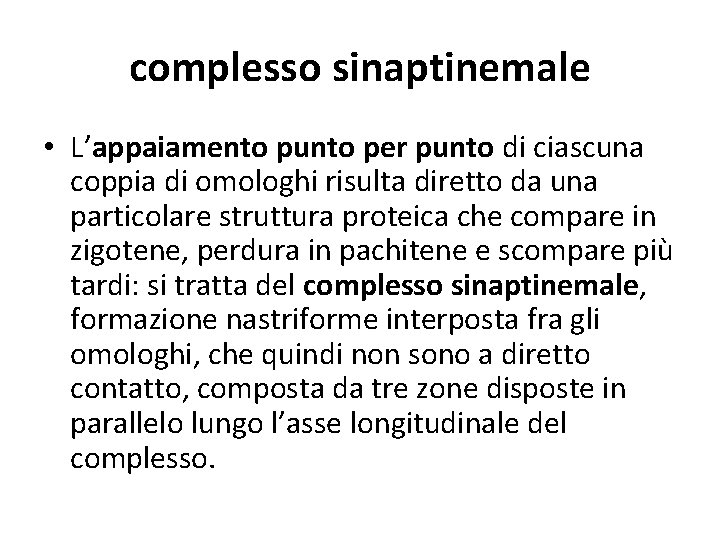 complesso sinaptinemale • L’appaiamento punto per punto di ciascuna coppia di omologhi risulta diretto