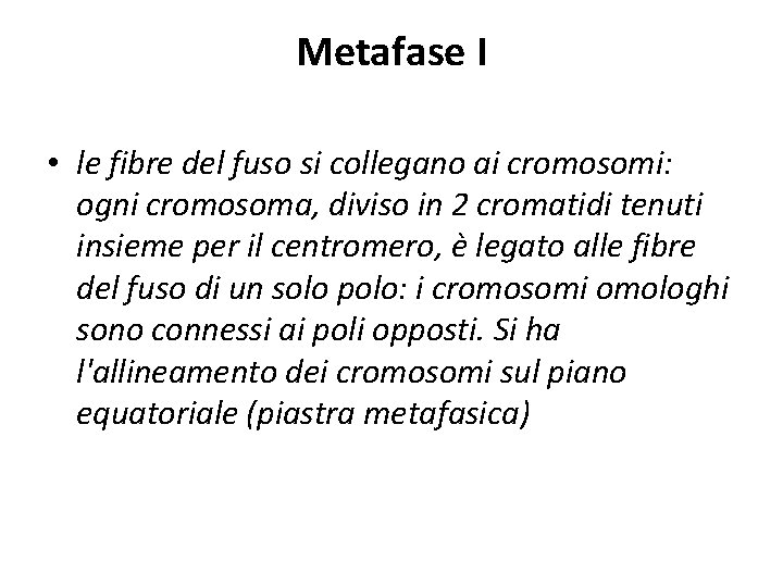 Metafase I • le fibre del fuso si collegano ai cromosomi: ogni cromosoma, diviso