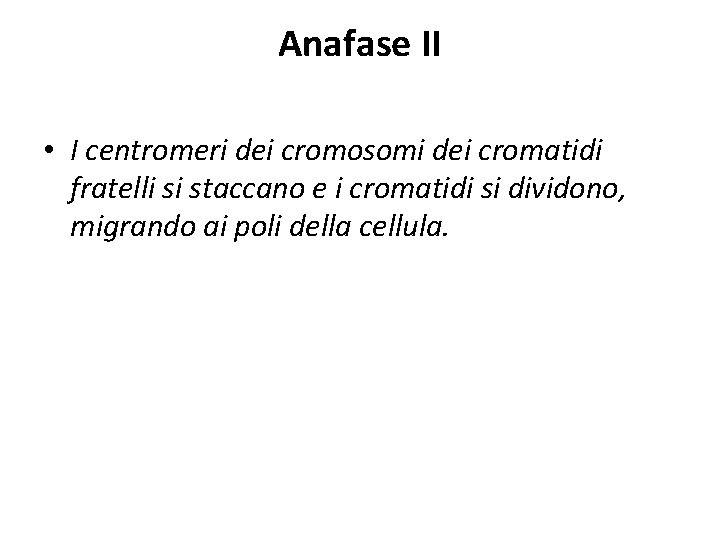 Anafase II • I centromeri dei cromosomi dei cromatidi fratelli si staccano e i