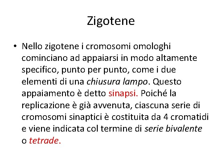 Zigotene • Nello zigotene i cromosomi omologhi cominciano ad appaiarsi in modo altamente specifico,