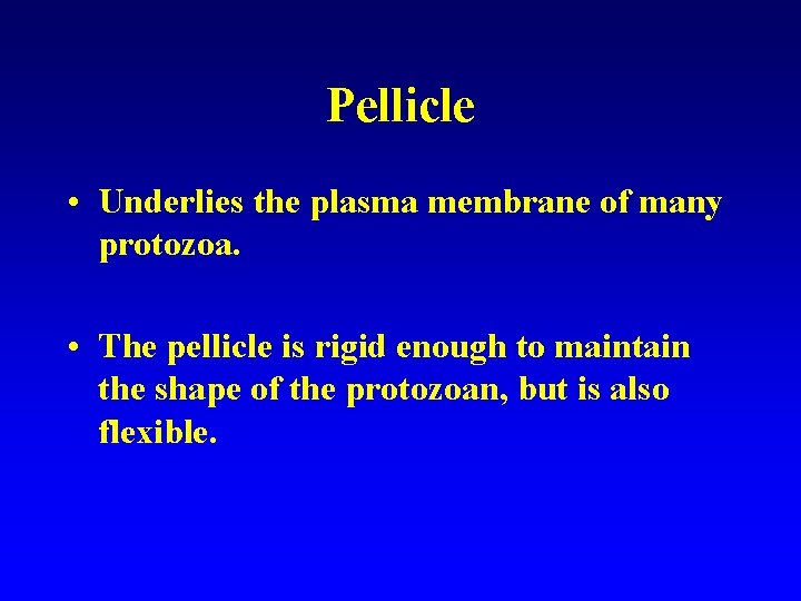 Pellicle • Underlies the plasma membrane of many protozoa. • The pellicle is rigid