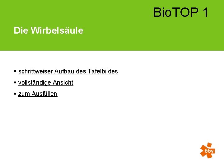 Bio. TOP 1 Die Wirbelsäule § schrittweiser Aufbau des Tafelbildes § vollständige Ansicht §