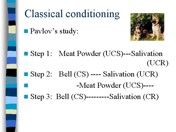 Classical conditioning n Pavlov’s study: n Step 1: Meat Powder (UCS)---Salivation (UCR) n Step