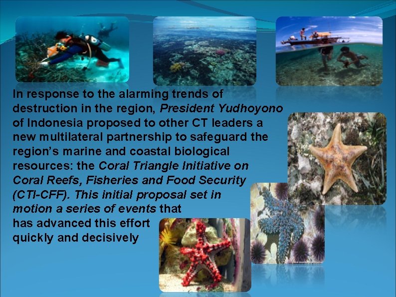 In response to the alarming trends of destruction in the region, President Yudhoyono of