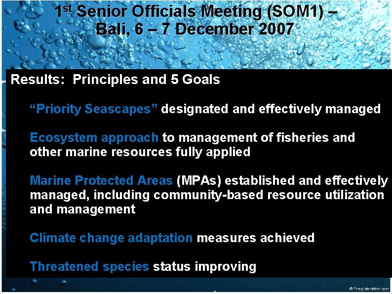 1 st Senior Officials Meeting (SOM 1) – Bali, 6 – 7 December 2007