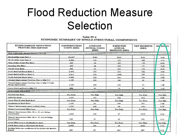 Flood Reduction Measure Selection 