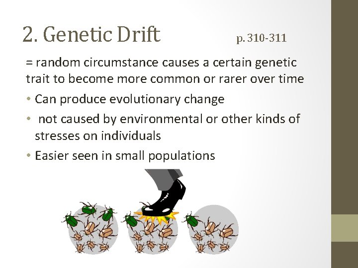 2. Genetic Drift p. 310 -311 = random circumstance causes a certain genetic trait