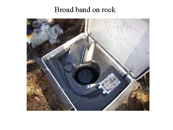 Broad band on rock 