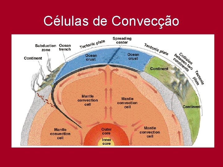 Células de Convecção 