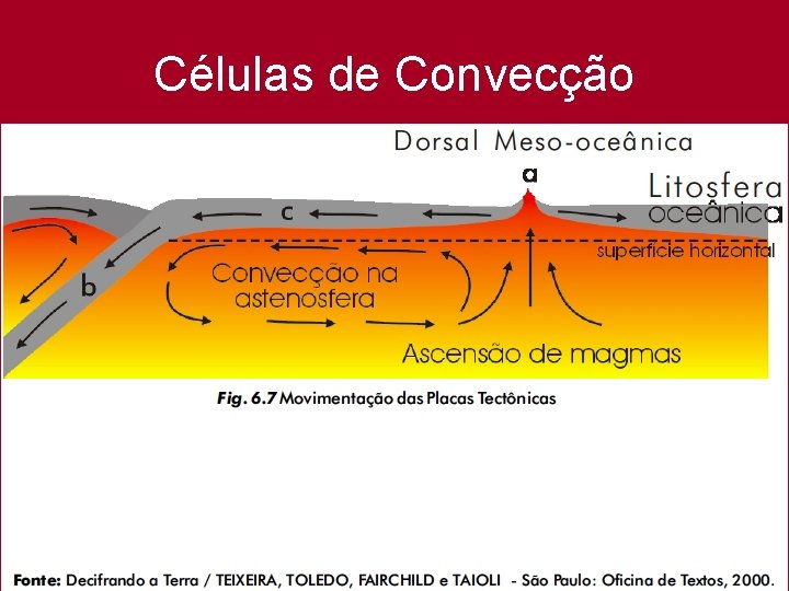 Células de Convecção 