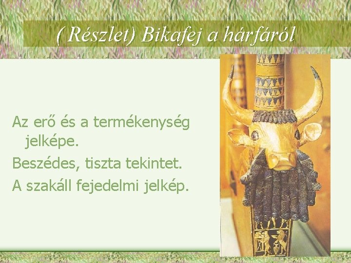 ( Részlet) Bikafej a hárfáról Az erő és a termékenység jelképe. Beszédes, tiszta tekintet.