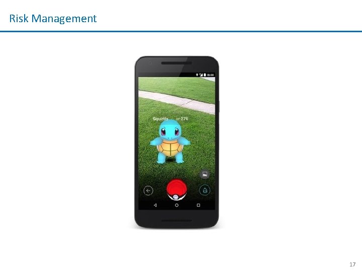 Risk Management 17 Risk Management 17