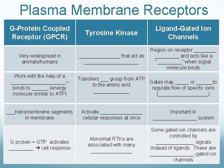 Plasma Membrane Receptors G-Protein Coupled Receptor (GPCR) Very widespread in animals/humans Work with the