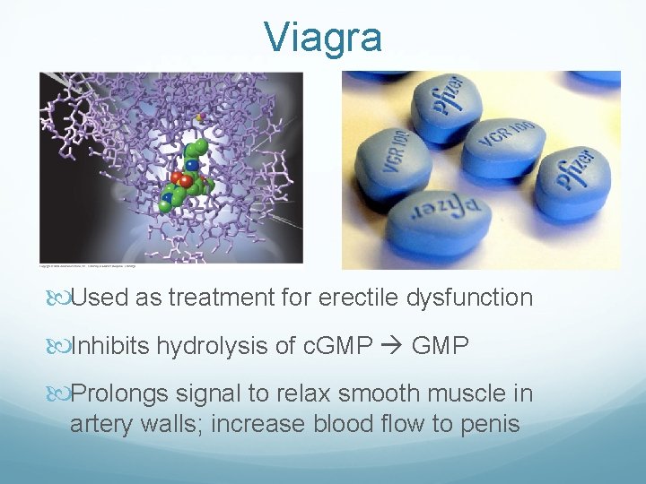 Viagra Used as treatment for erectile dysfunction Inhibits hydrolysis of c. GMP Prolongs signal