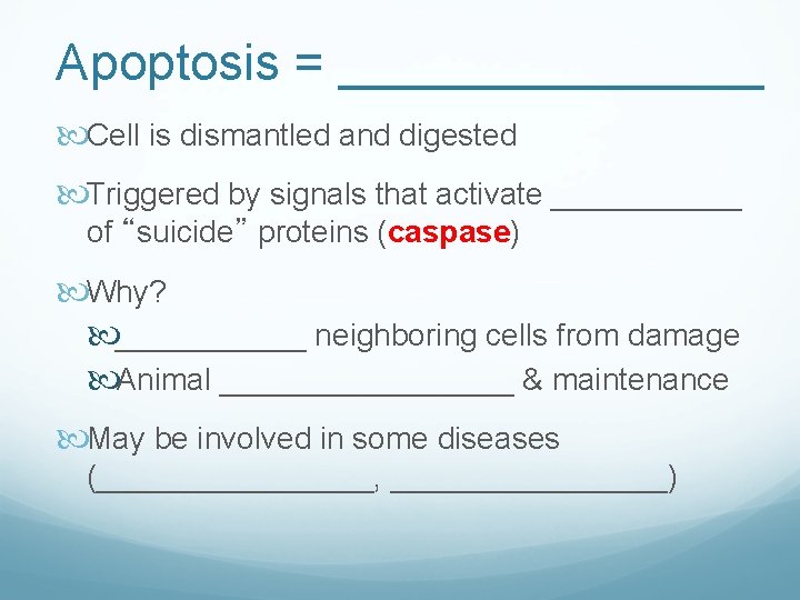 Apoptosis = ________ Cell is dismantled and digested Triggered by signals that activate ______