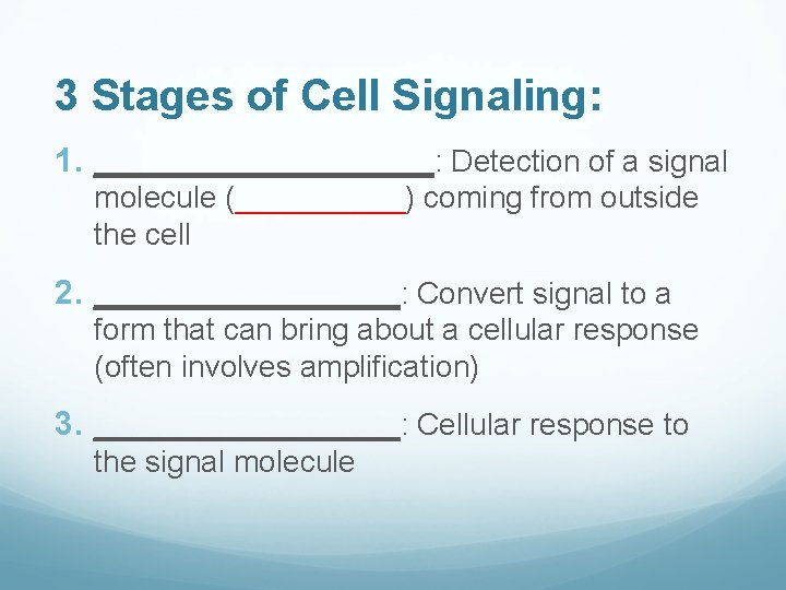 3 Stages of Cell Signaling: 1. __________: Detection of a signal molecule (_____) coming