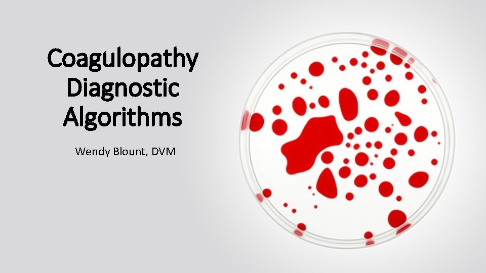 Coagulopathy Diagnostic Algorithms Wendy Blount DVM EcchymosesPetechiae ...