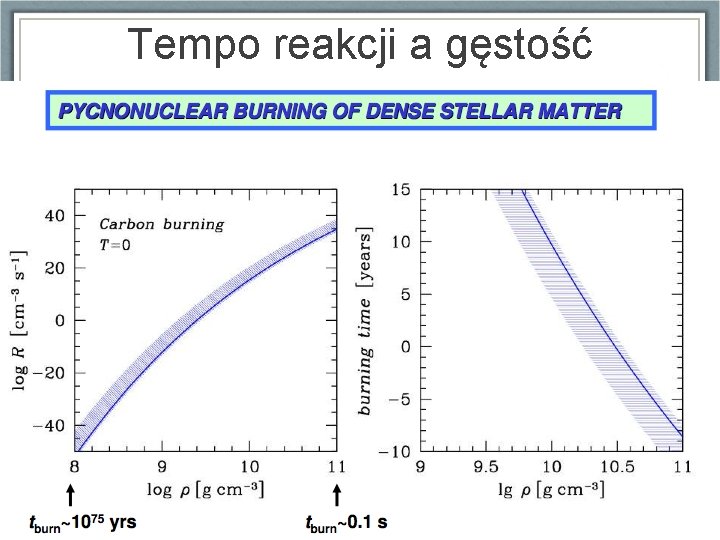 Tempo reakcji a gęstość 