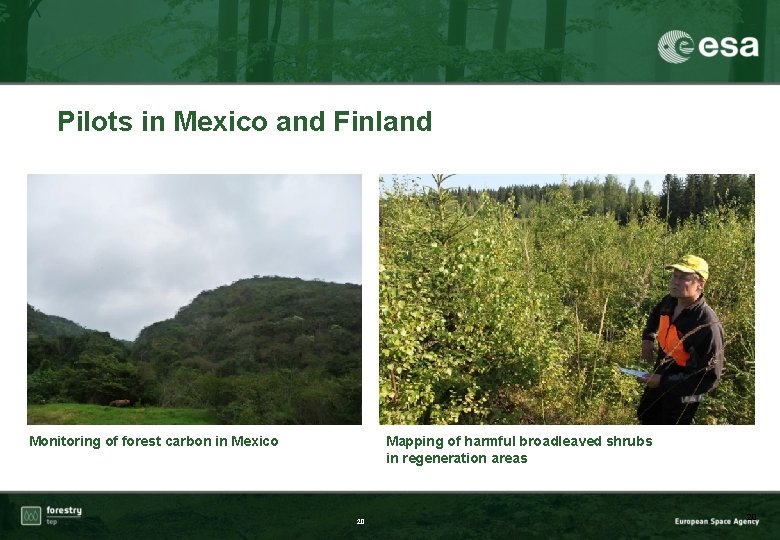 Pilots in Mexico and Finland Monitoring of forest carbon in Mexico Mapping of harmful