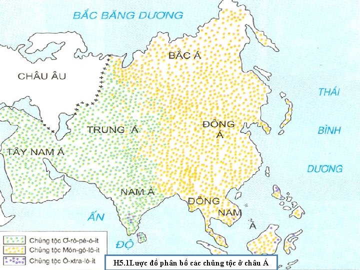 H 5. 1 Lược đồ phân bố các chủng tộc ở châu Á 