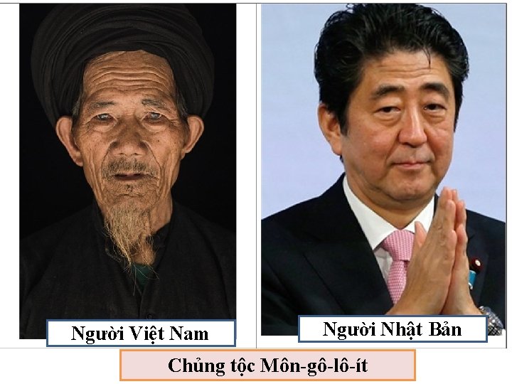 Người Việt Nam Người Nhật Bản Chủng tộc Môn-gô-lô-ít 
