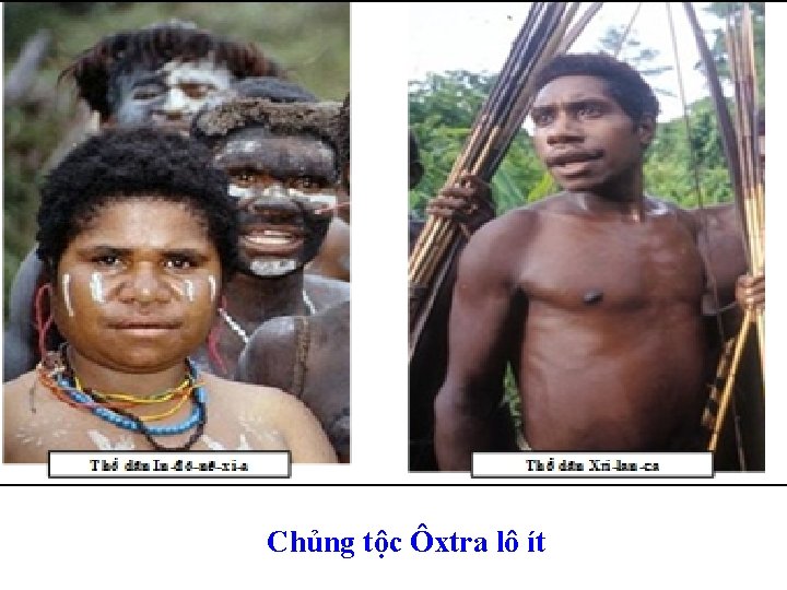 Chủng tộc Ôxtra lô ít 