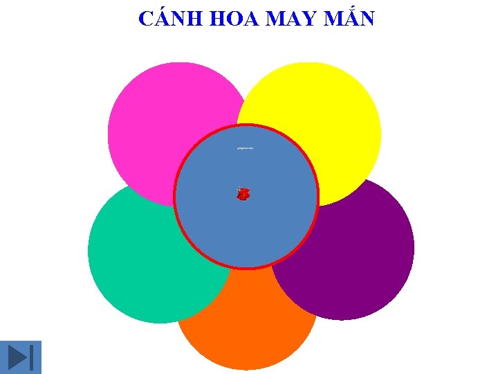 CÁNH HOA MAY MẮN 