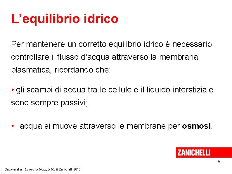 L’equilibrio idrico Per mantenere un corretto equilibrio idrico è necessario controllare il flusso d’acqua