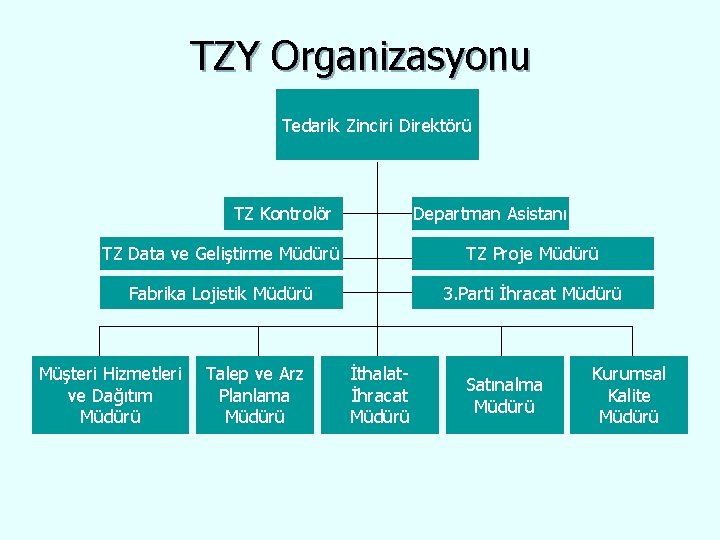 TZY Organizasyonu Tedarik Zinciri Direktörü TZ Kontrolör Departman Asistanı TZ Data ve Geliştirme Müdürü