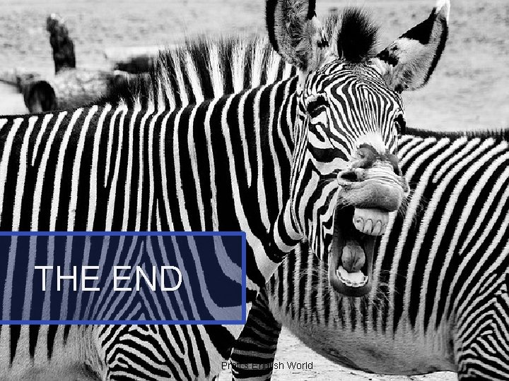 THE END Proff’s English World THE END Proff’s English World
