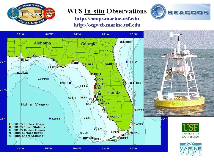 WFS In-situ Observations http: //comps. marine. usf. edu http: //ocgweb. marine. usf. edu 