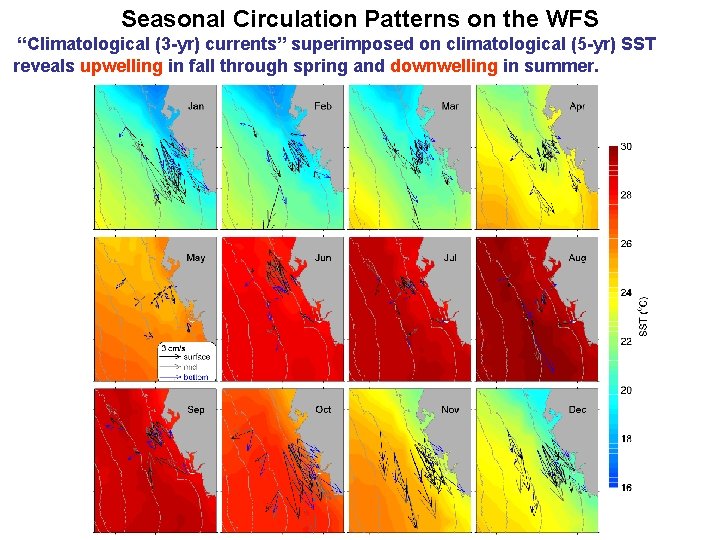 Seasonal Circulation Patterns on the WFS “Climatological (3 -yr) currents” superimposed on climatological (5
