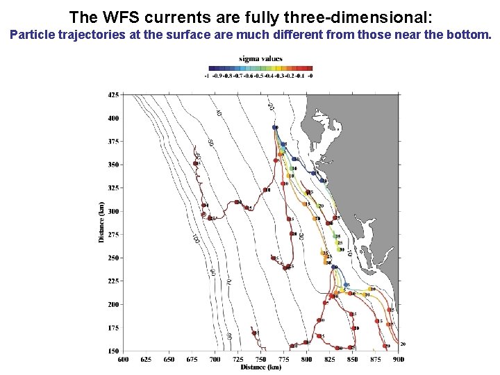 The WFS currents are fully three-dimensional: Particle trajectories at the surface are much different
