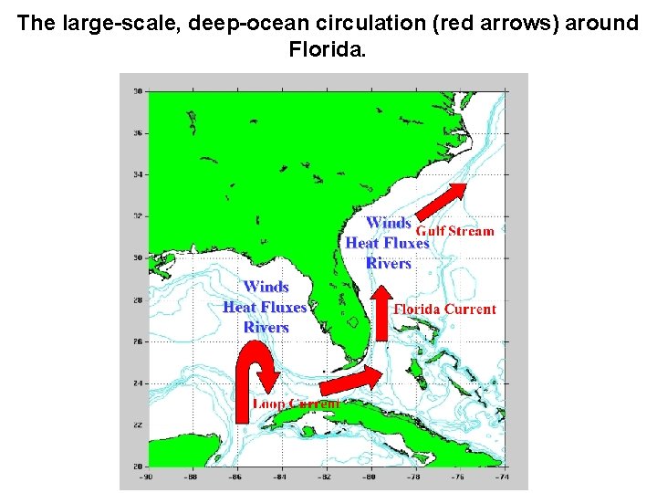 The large-scale, deep-ocean circulation (red arrows) around Florida. 