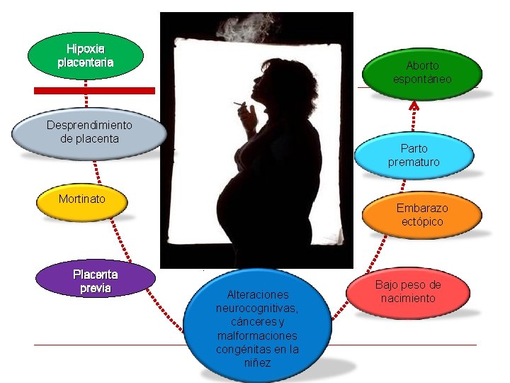 Hipoxia placentaria Aborto espontáneo Desprendimiento de placenta Parto prematuro Mortinato Placenta previa Embarazo ectópico