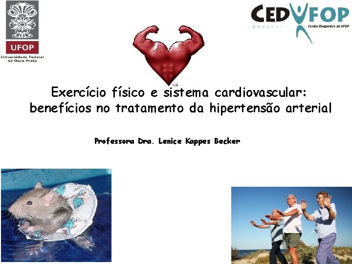 Exercício físico e sistema cardiovascular: benefícios no tratamento da hipertensão arterial Professora Dra. Lenice