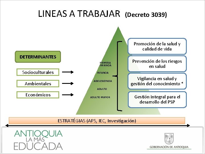 LINEAS A TRABAJAR (Decreto 3039) Promoción de la salud y calidad de vida DETERMINANTES